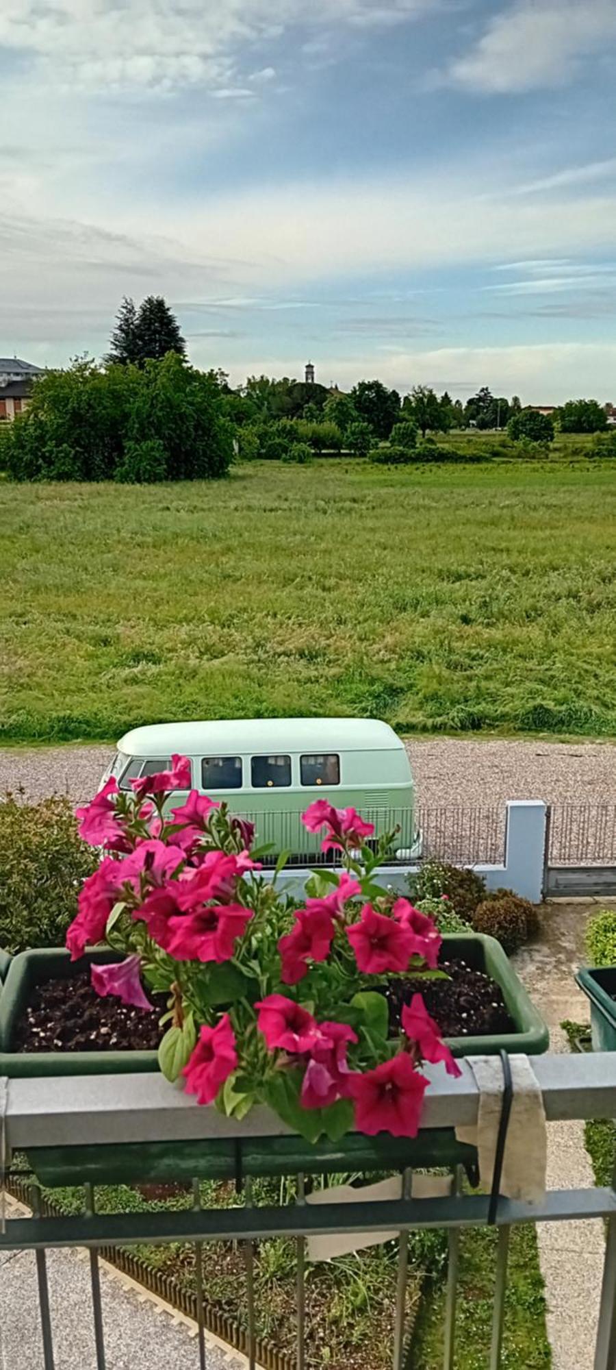 La Cjase Di Pieri E Vilme Bed & Breakfast Udine Eksteriør bilde